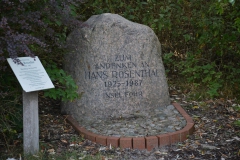 Foehr-2020