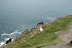 Irland-2012-47