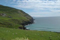 Irland-2012-57