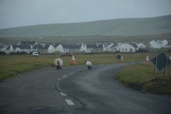 Irland-2016-37