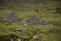 Irland-2016-40