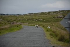 Irland-2016-45