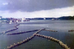 Urlaub-Kappeln-1984-6