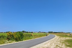 Texel-2024-85