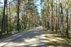 Usedom-2018-40