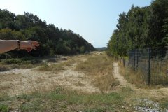 Usedom-2018-41