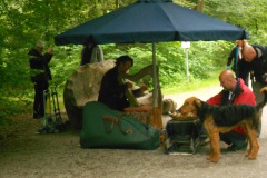 Wellness - Teutoburger Wald