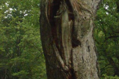 Wellness - Teutoburger Wald