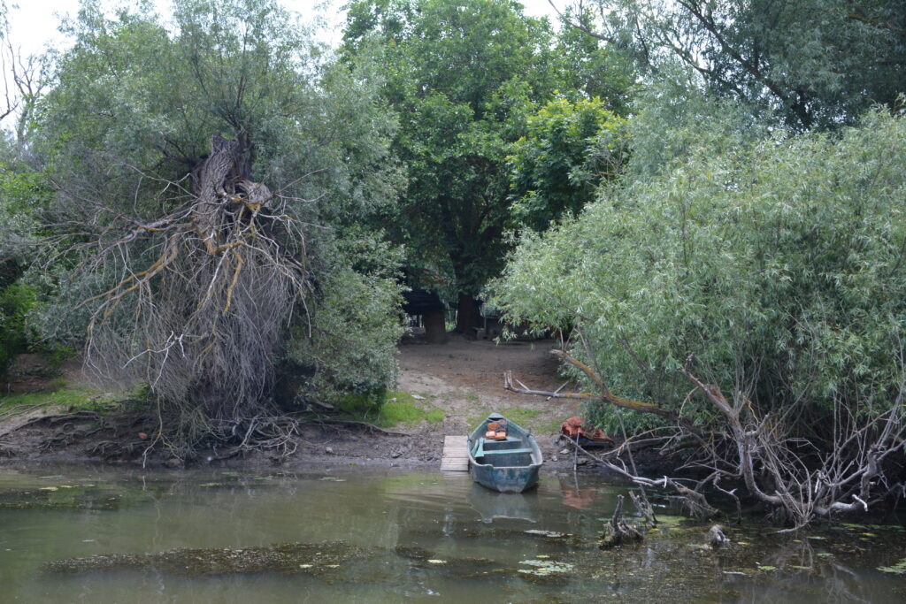 Donaudelta