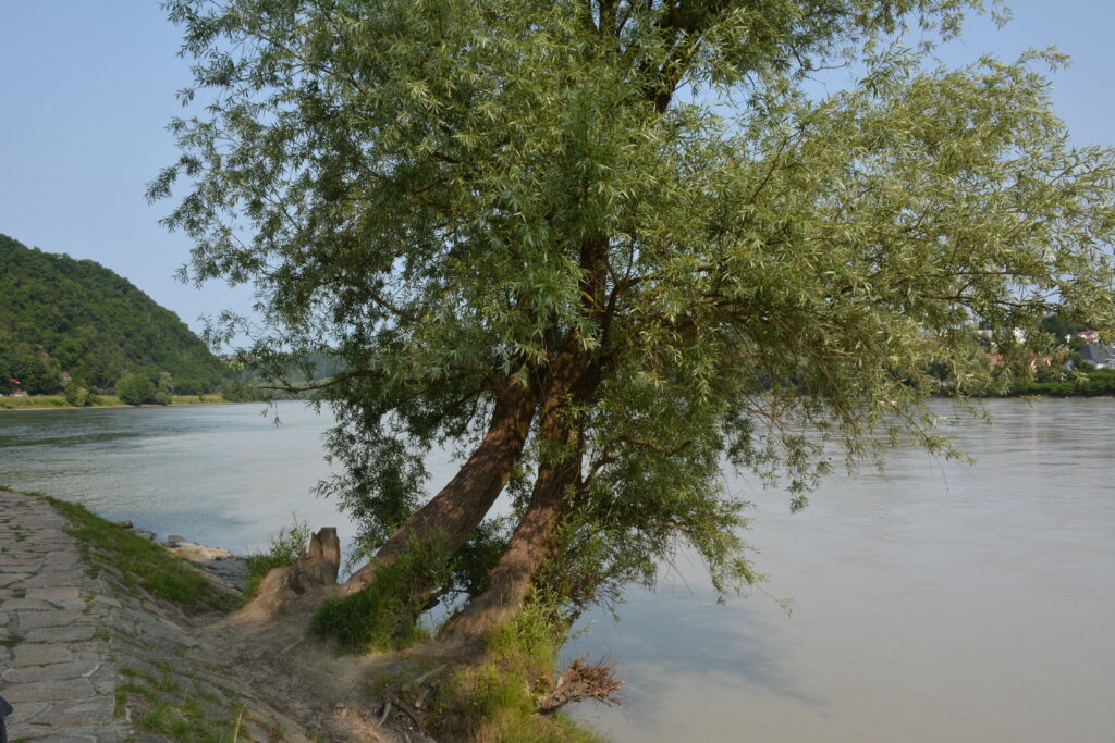 Passau 2025