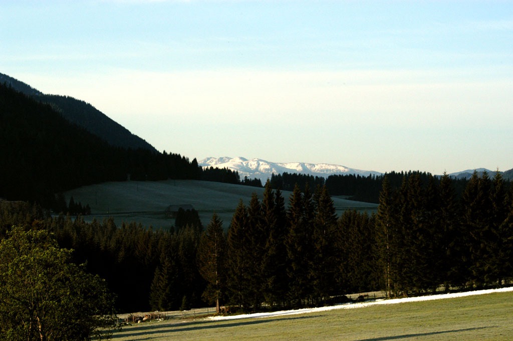 Austria-Formel1-A1-2003