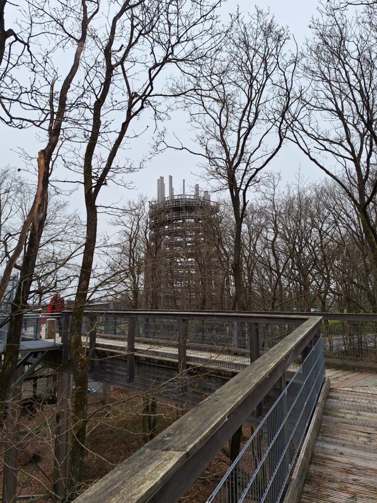 Baumwipfelpfad-Waldbroehl 2024