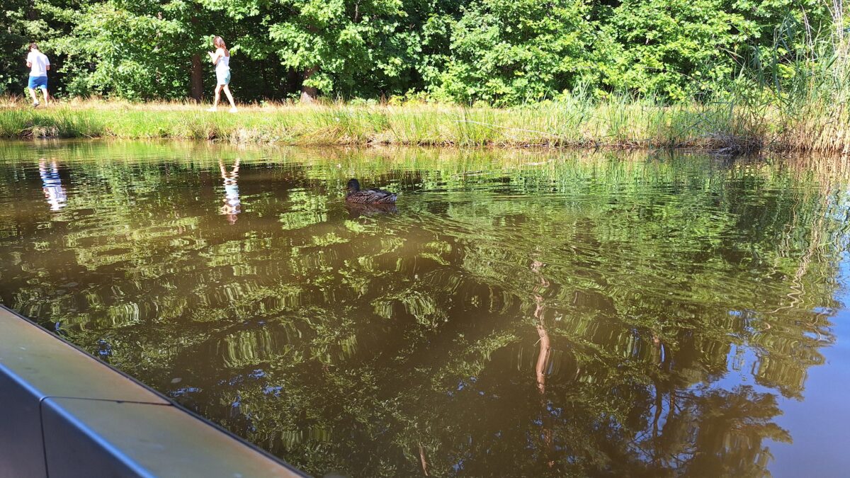 Mit dem Fahrrad durch`s Wasser