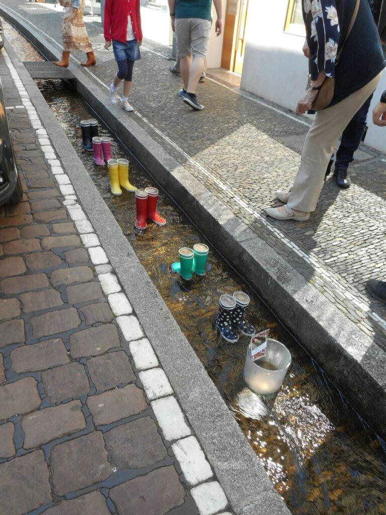 Freiburg 2019