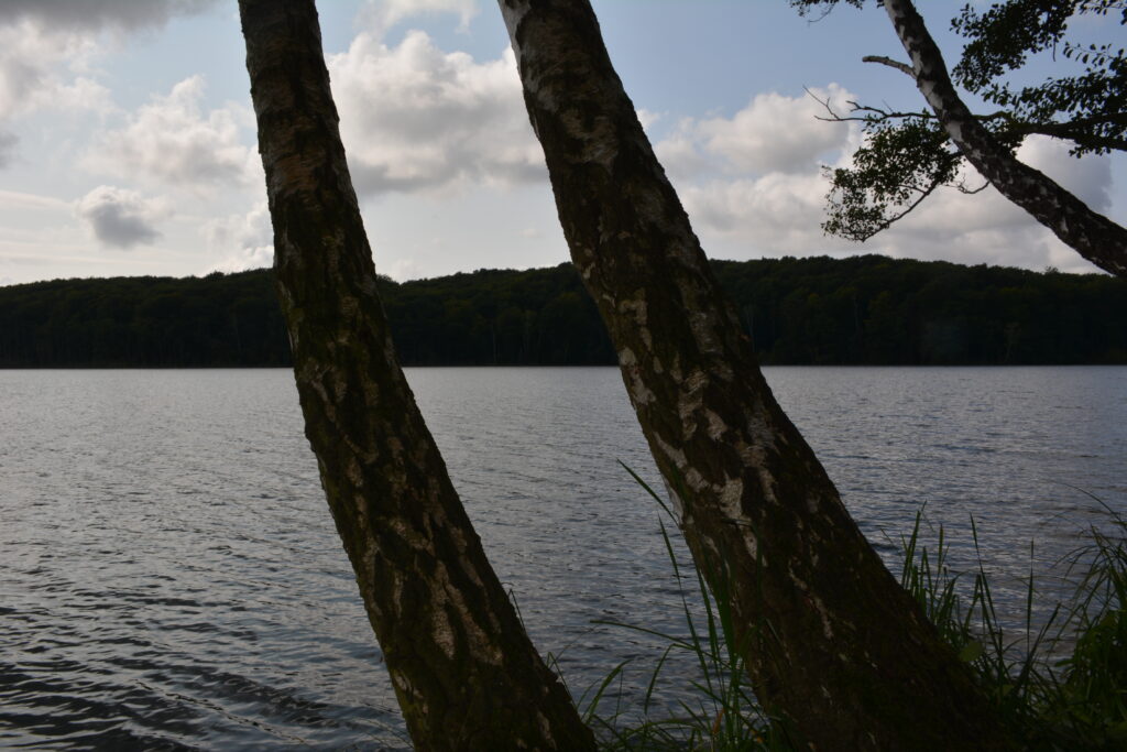 Wolgastsee 2018