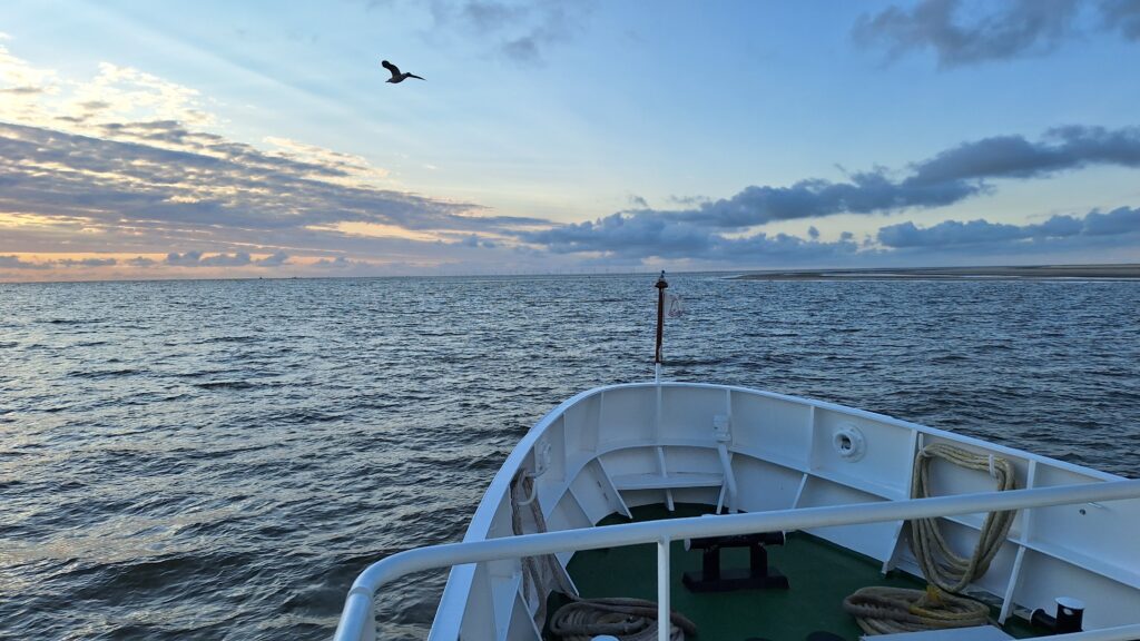 Borkum